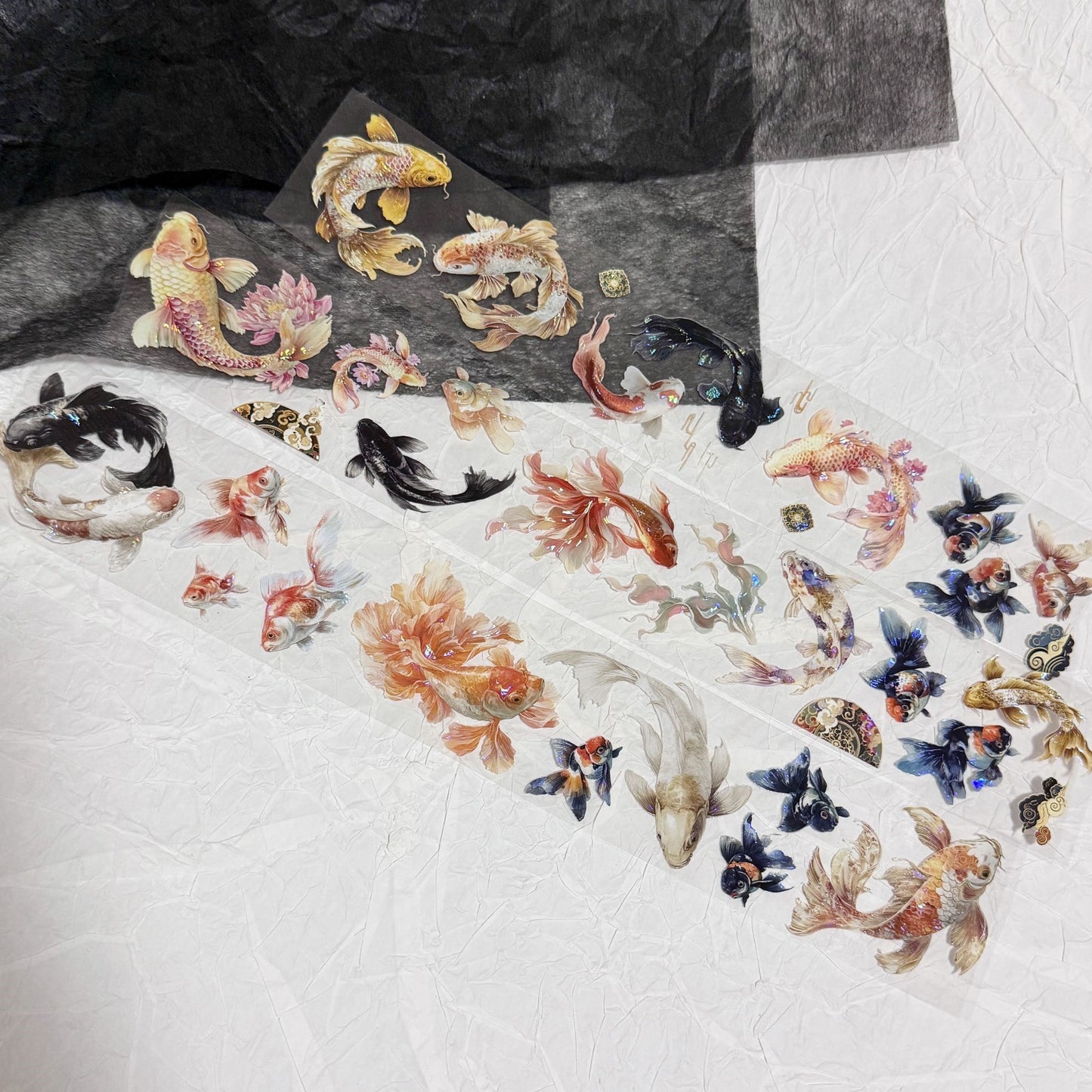 QYマステ10月新作♡錦鯉水苑 貝殻光
