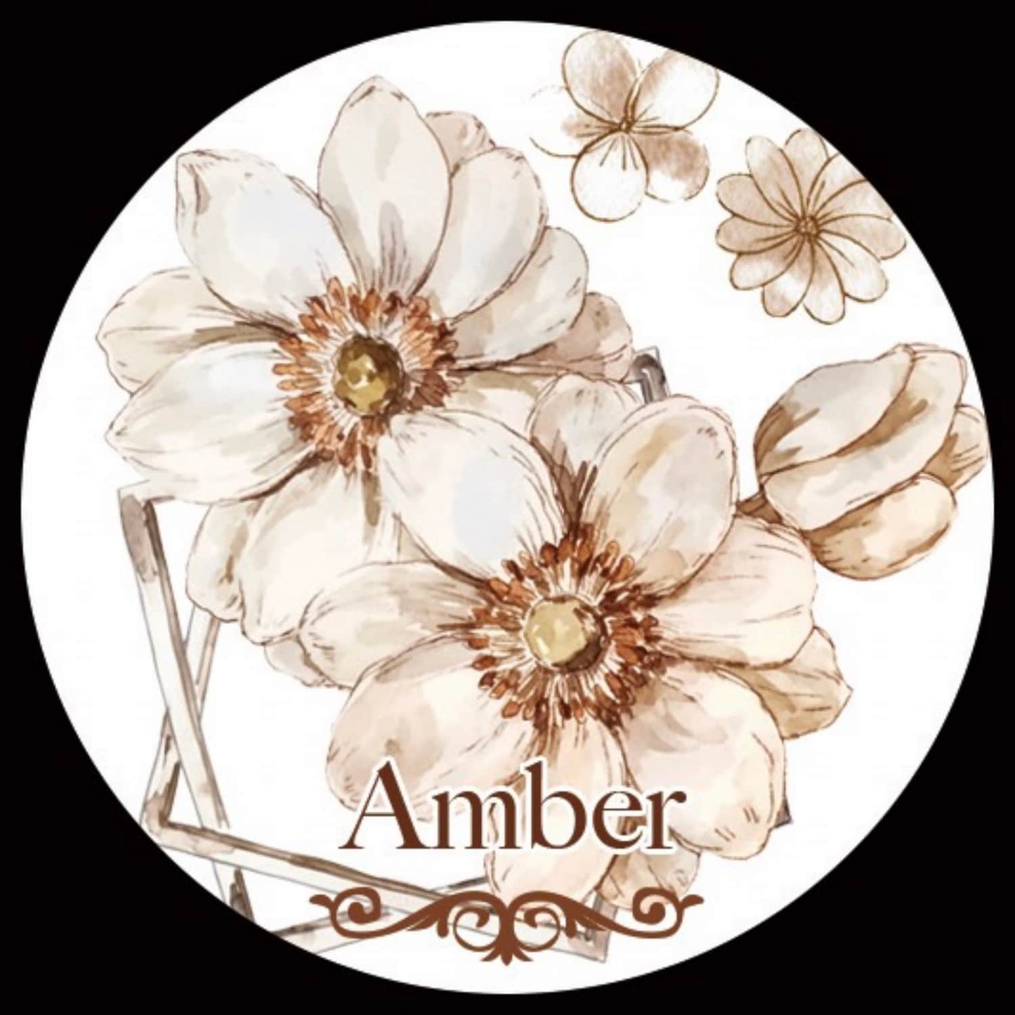 QYマステ11月新作Amber PET