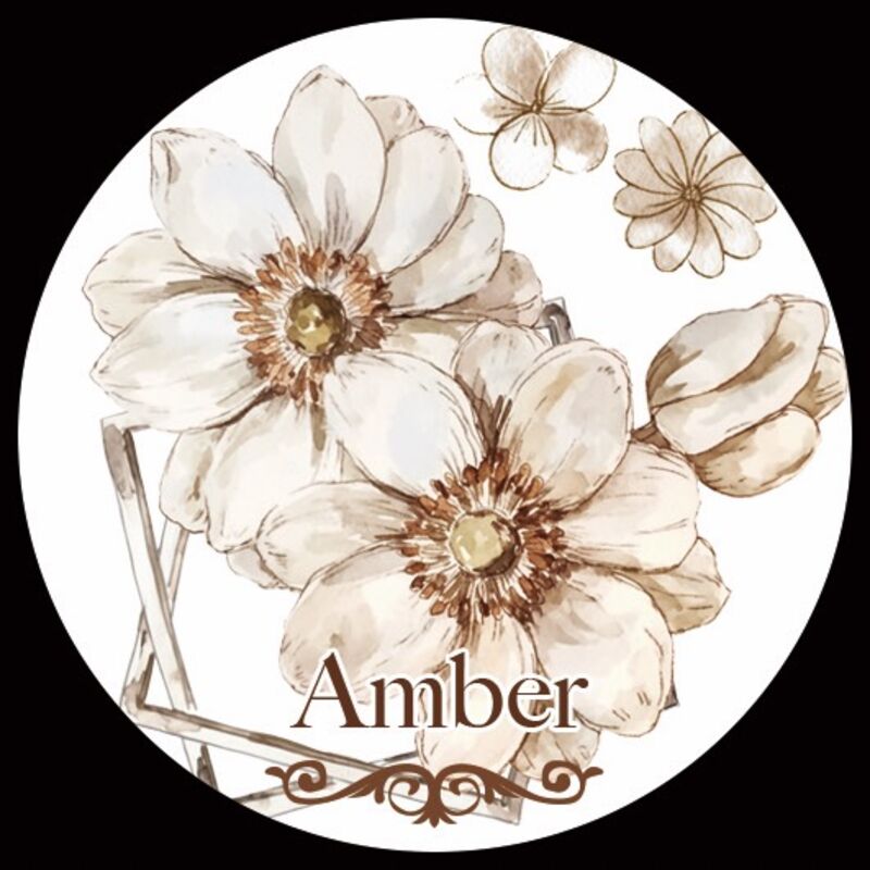 QYマステ11月新作Amber PET