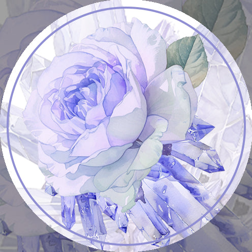 QYマステ11月新作Amethyst(紫水晶) 6cm×5M 貝殻光
