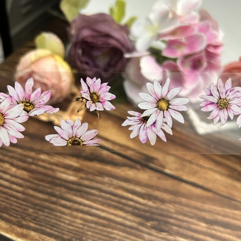 QYマステ11月新作Daisy PET