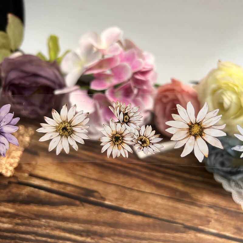 QYマステ11月新作Daisy PET