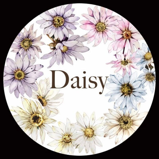 QYマステ11月新作Daisy PET
