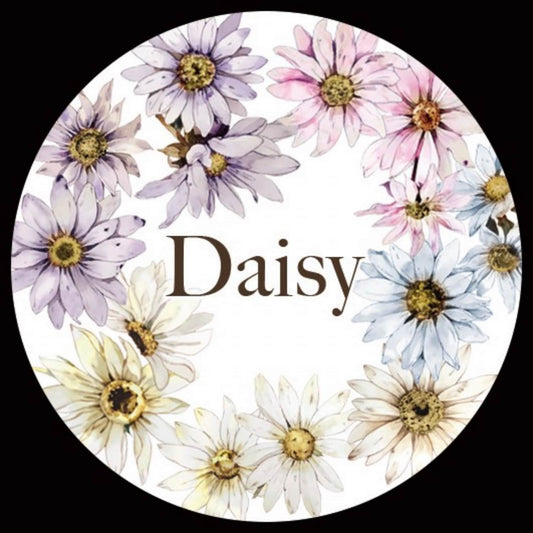 QYマステ11月新作Daisy PET