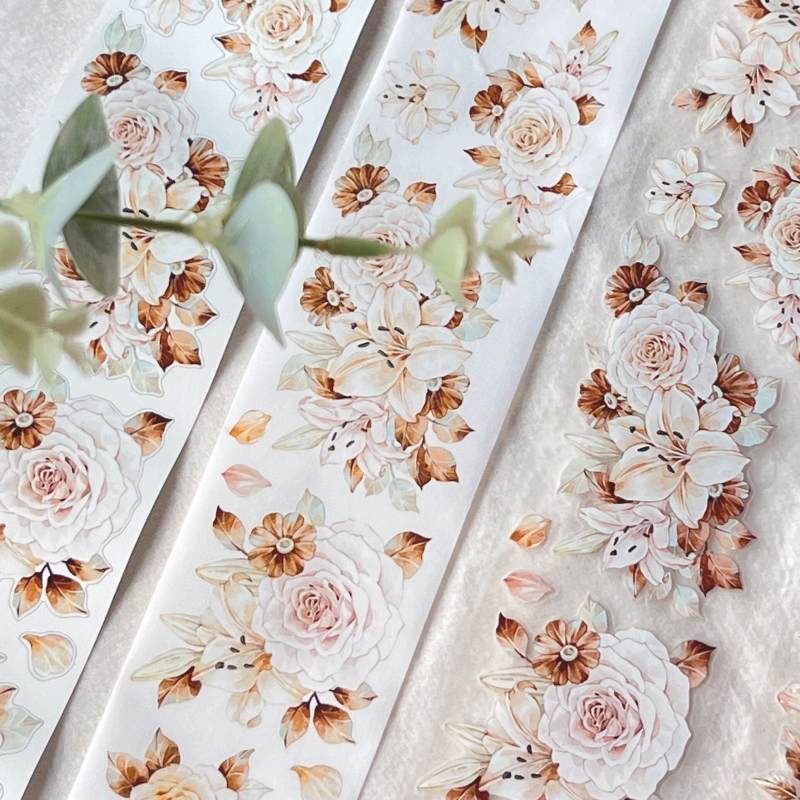 LMBLマステ 萧瑟 PET