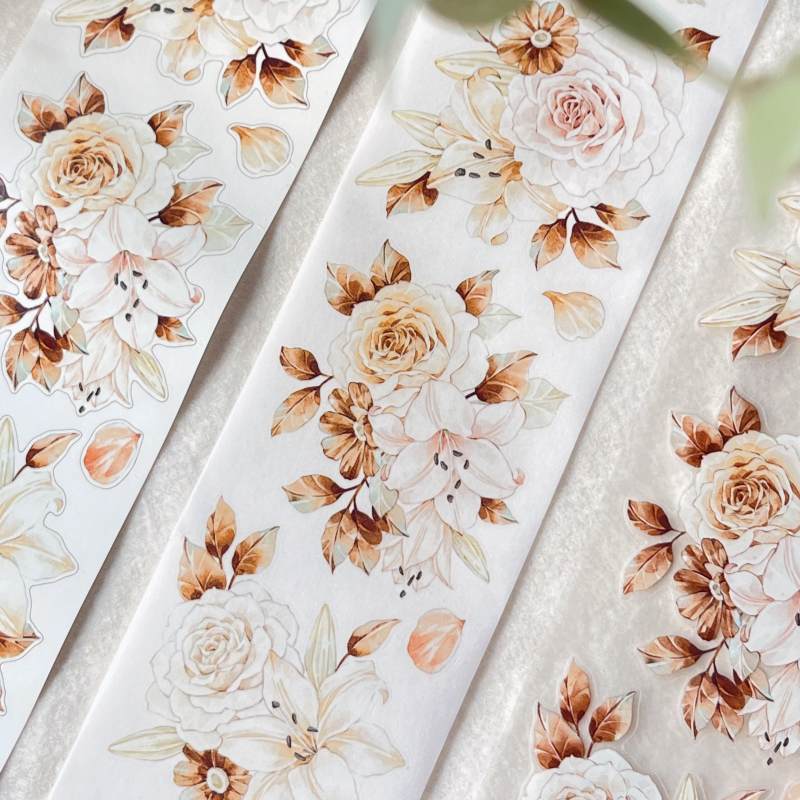 LMBLマステ 萧瑟 PET