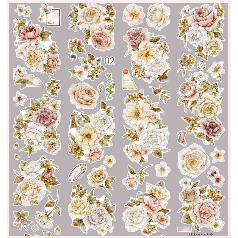 ZYSマステ雪痕 PET