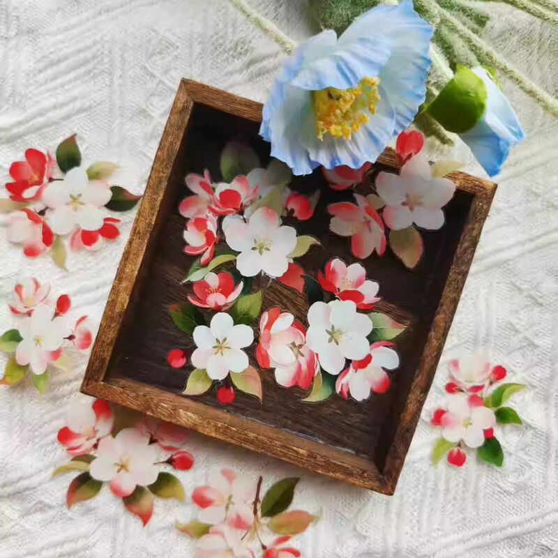 NANAマステ彤云 PET