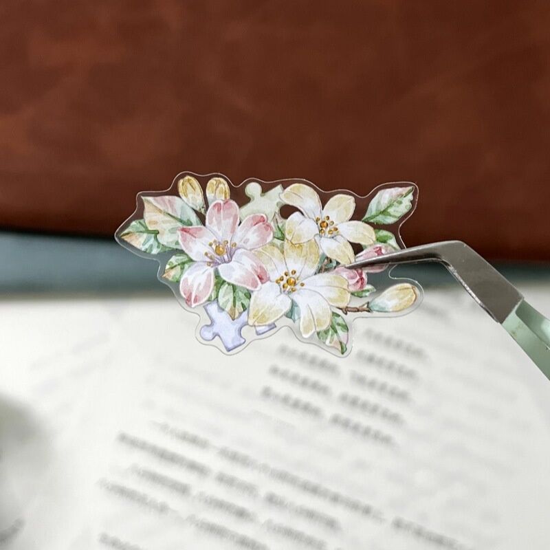 ZYSマステ粉色碎片 PET