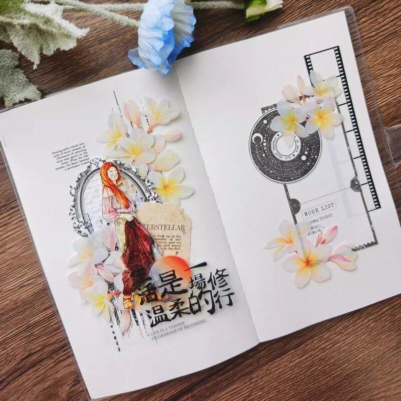 NANAマステ粉俏凝露 PET