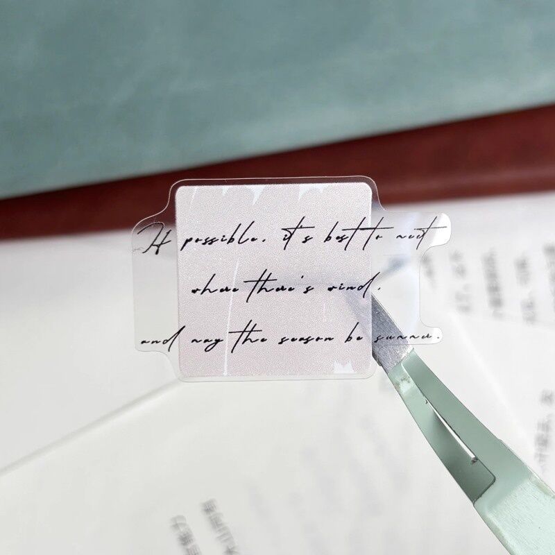 ZYSマステ淡蓝小时光 PET