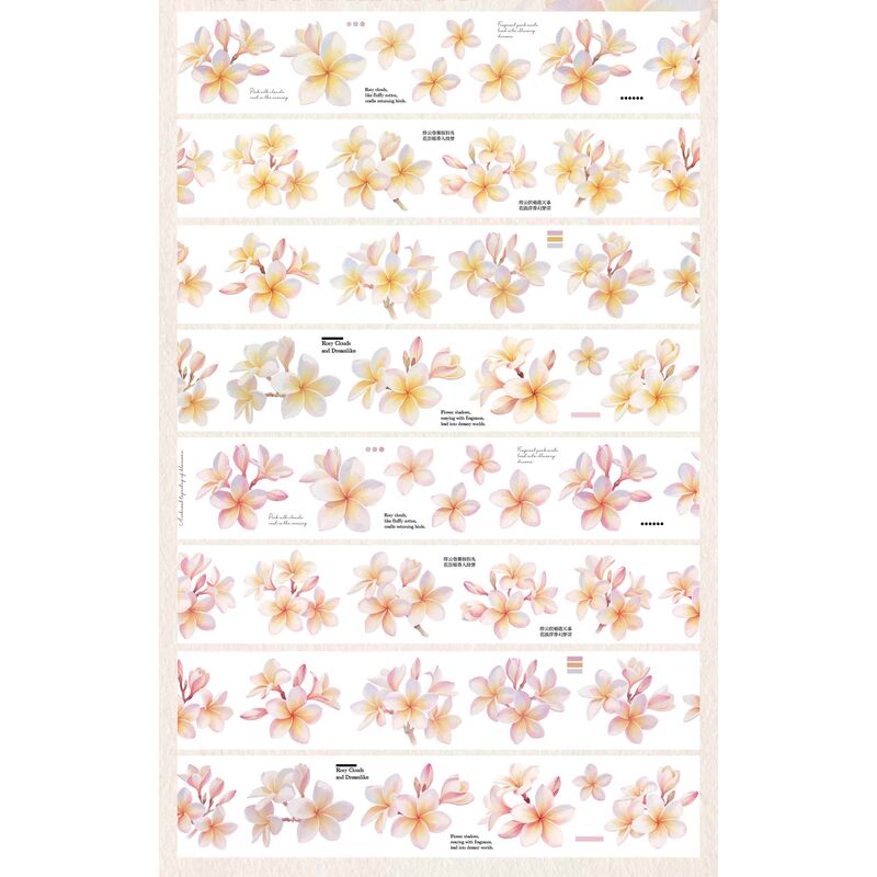 NANAマステ粉俏凝露 PET