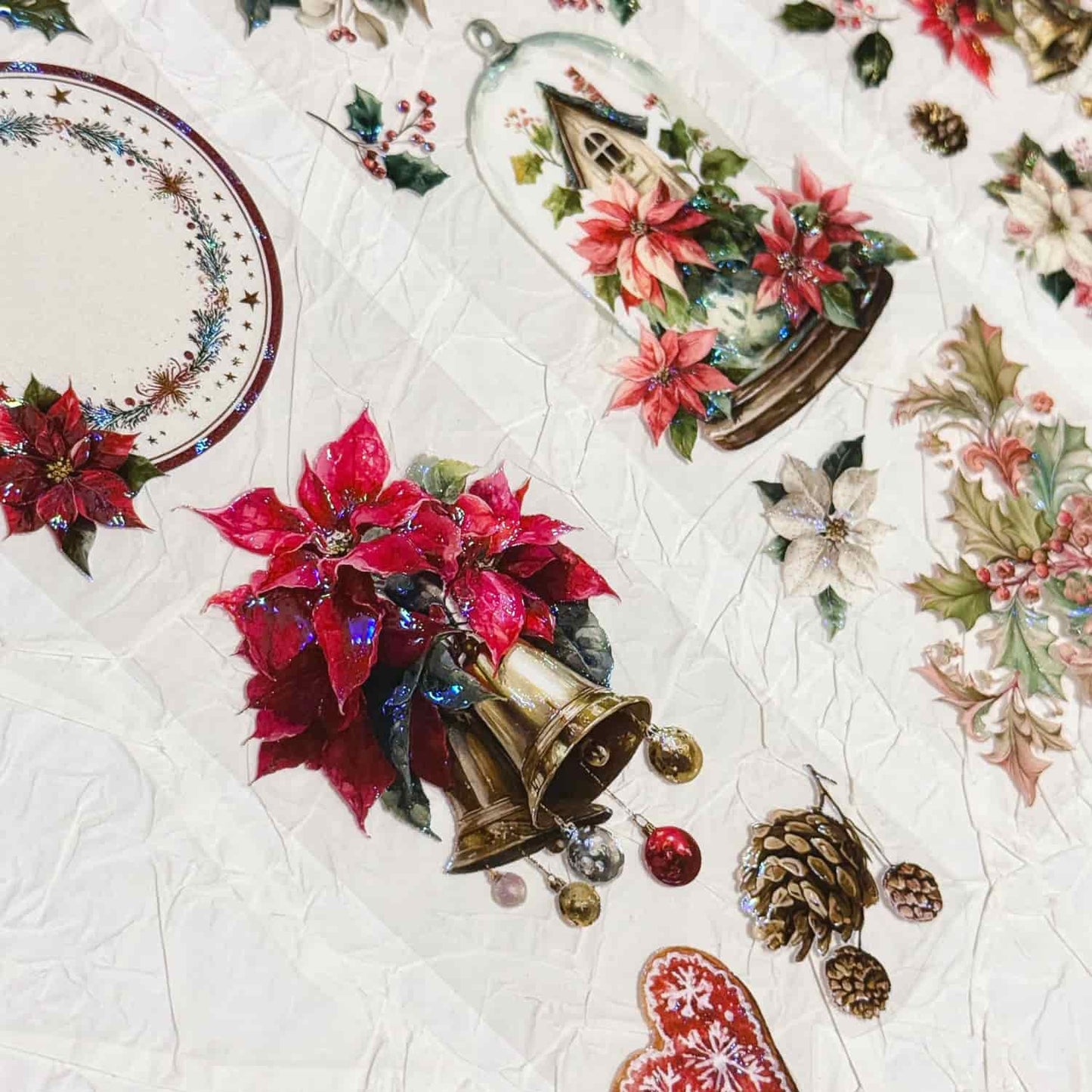 QYマステ11月新作Poinsettia 貝殻光