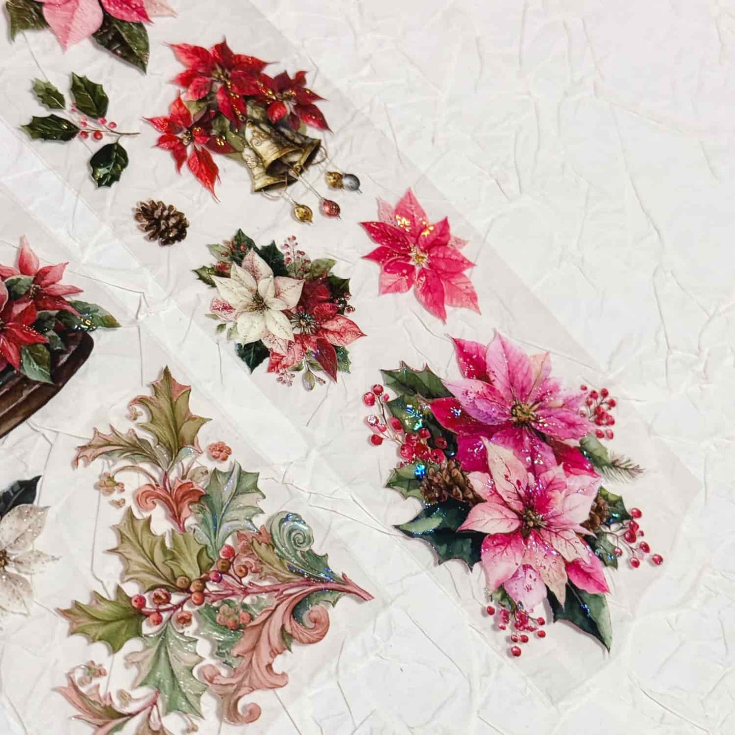 QYマステ11月新作Poinsettia 貝殻光