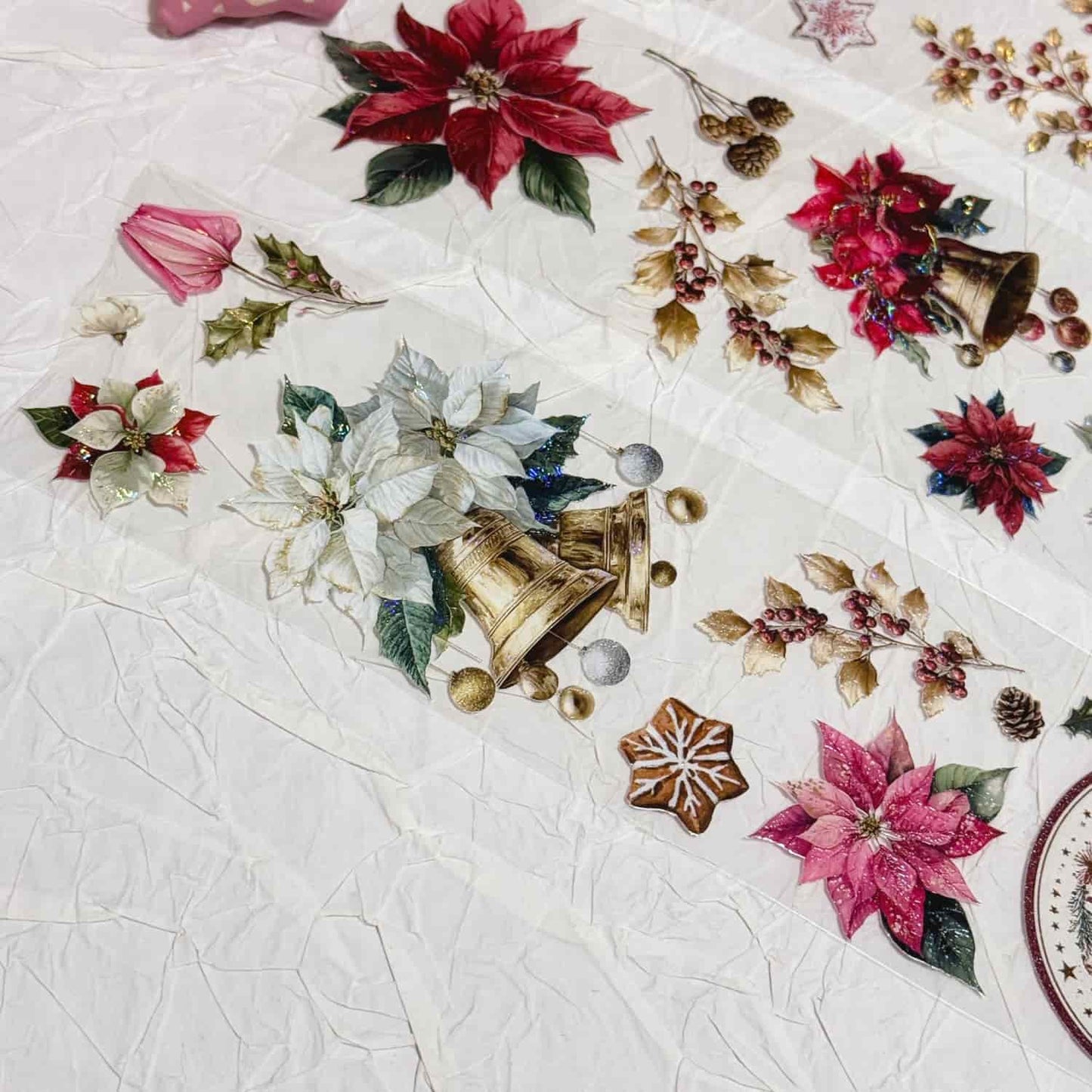 QYマステ11月新作Poinsettia 貝殻光
