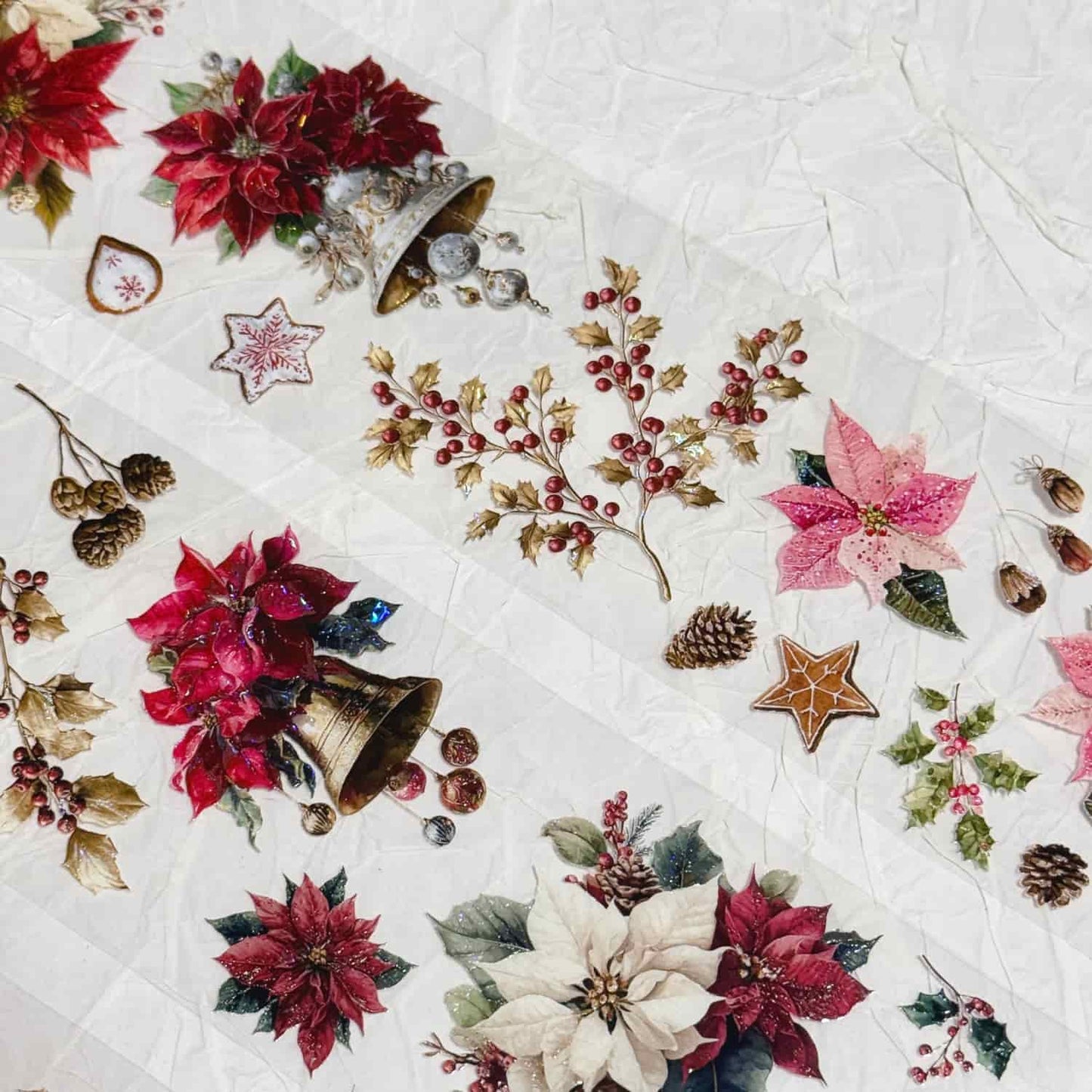 QYマステ11月新作Poinsettia 貝殻光