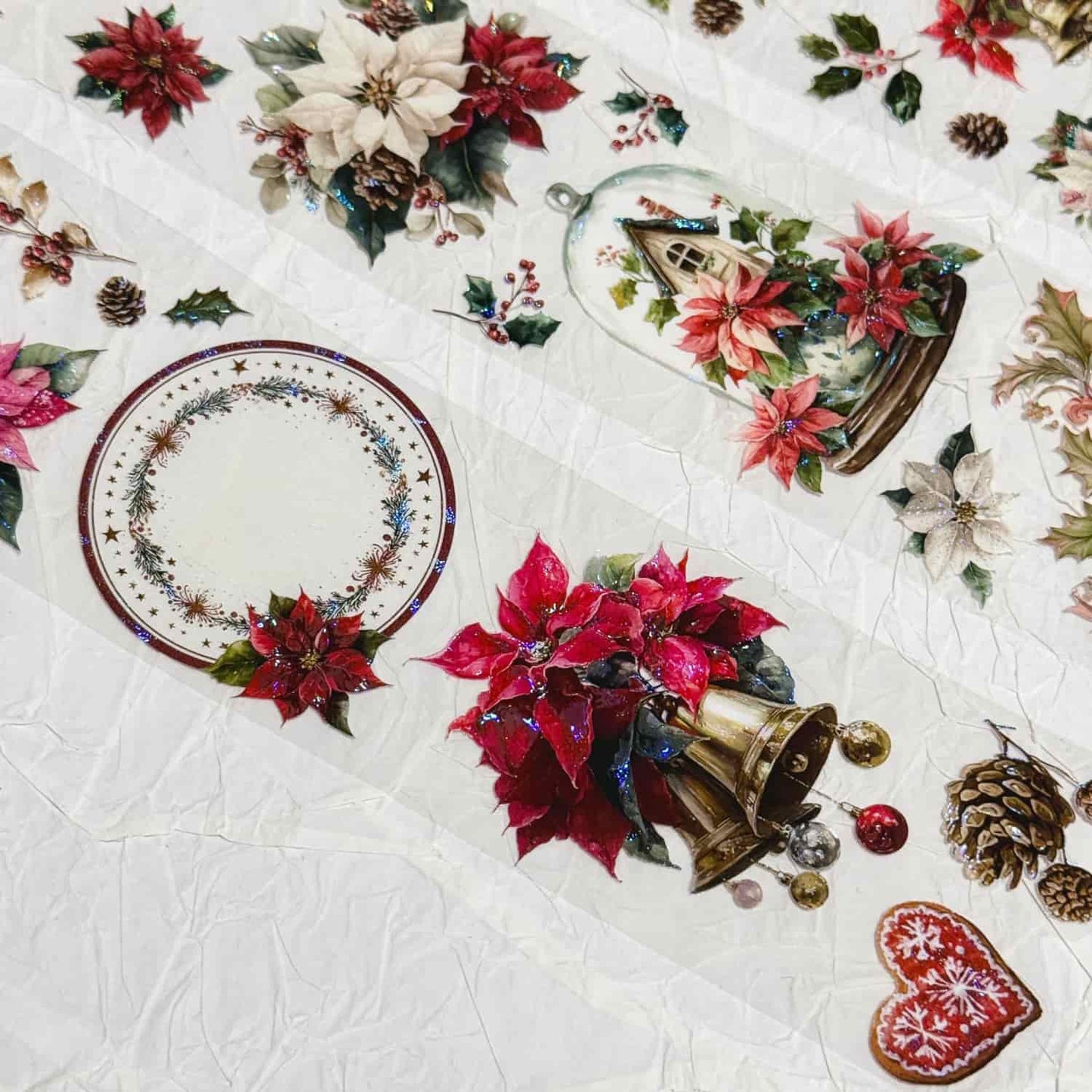 QYマステ11月新作Poinsettia 貝殻光