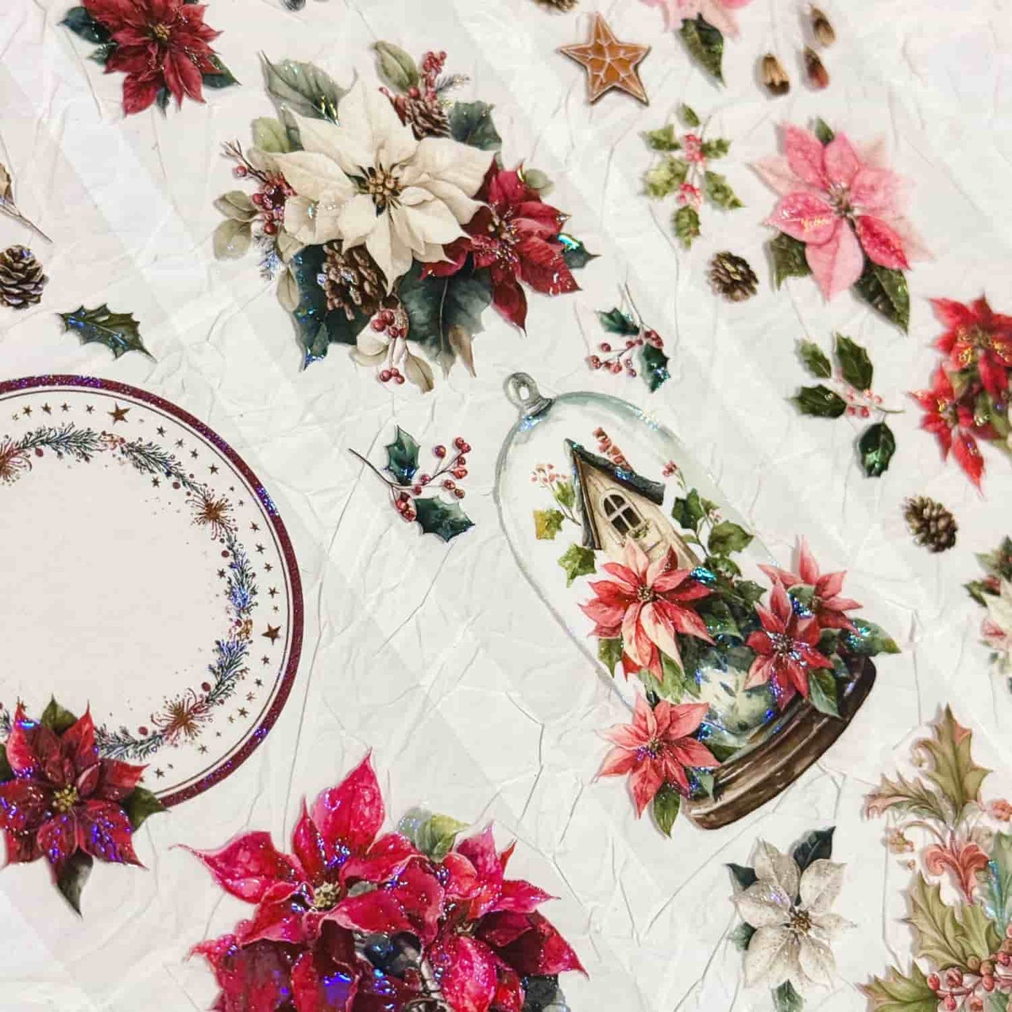 QYマステ11月新作Poinsettia 貝殻光