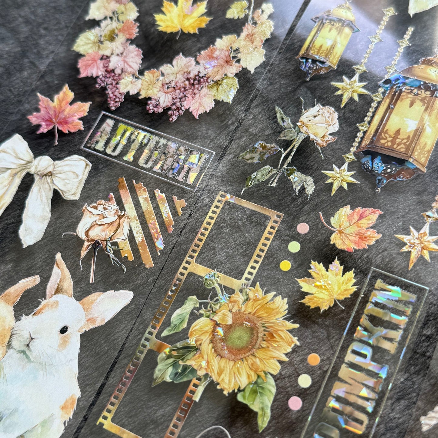 QYマステ7月新作♡Pumpkin lantern 貝殻光