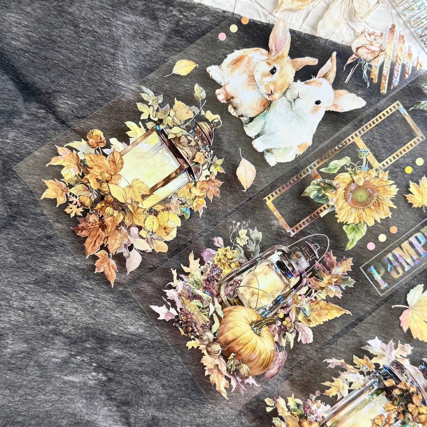 QYマステ7月新作♡Pumpkin lantern 貝殻光