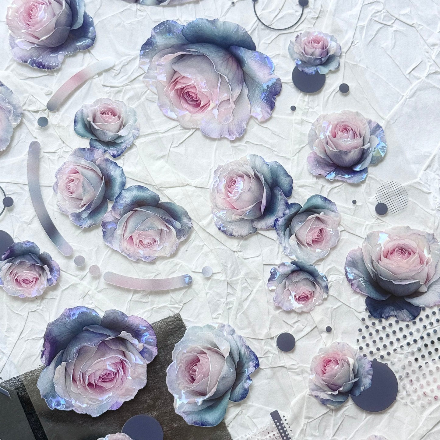 QYマステ7月新作♡Rosy violet 貝殻光