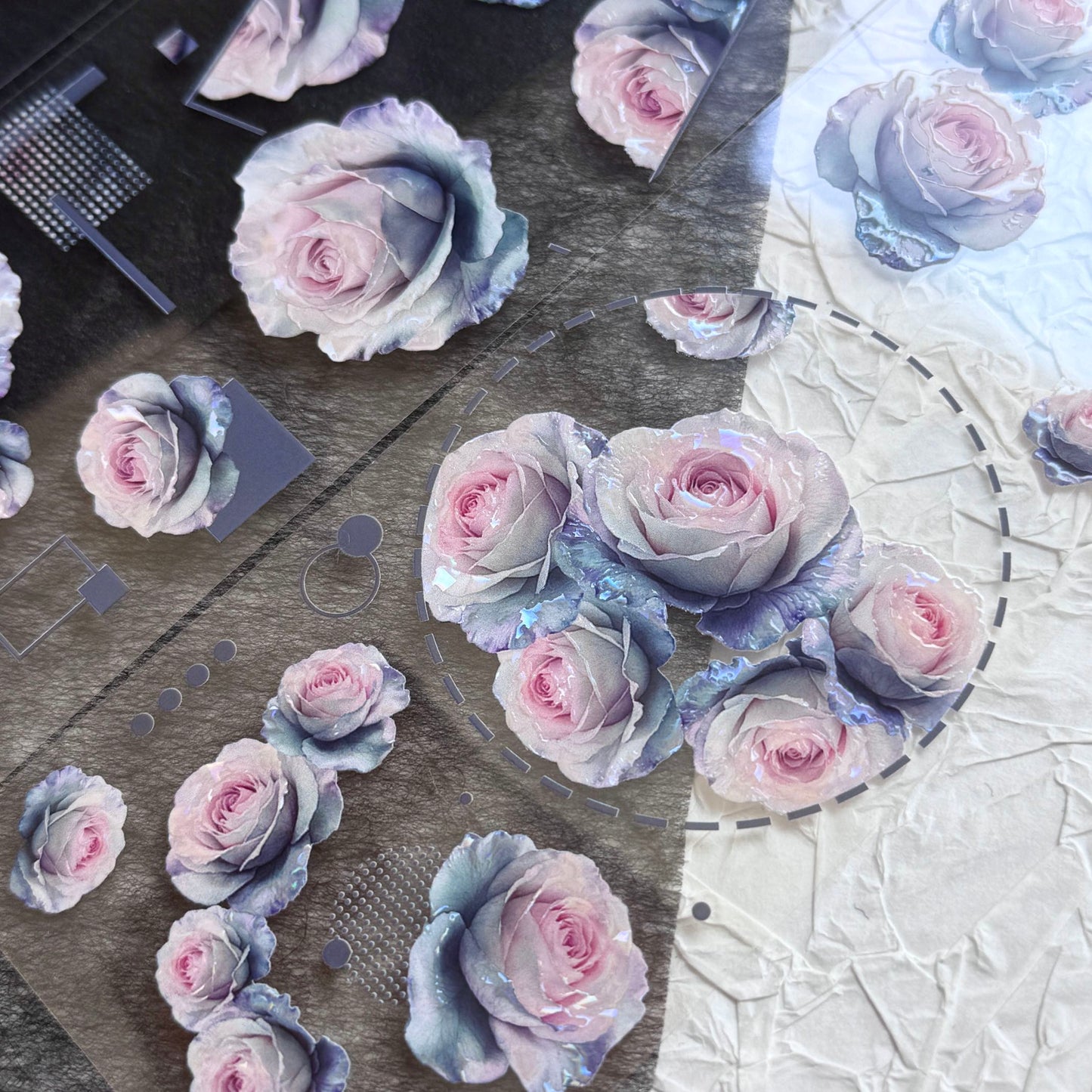QYマステ7月新作♡Rosy violet 貝殻光