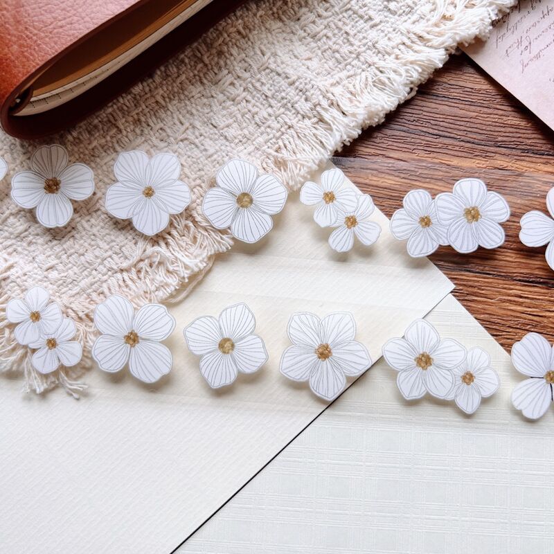 QYマステ8月新作Sketch Petals 3cm×5M(5色500cmループ) PET