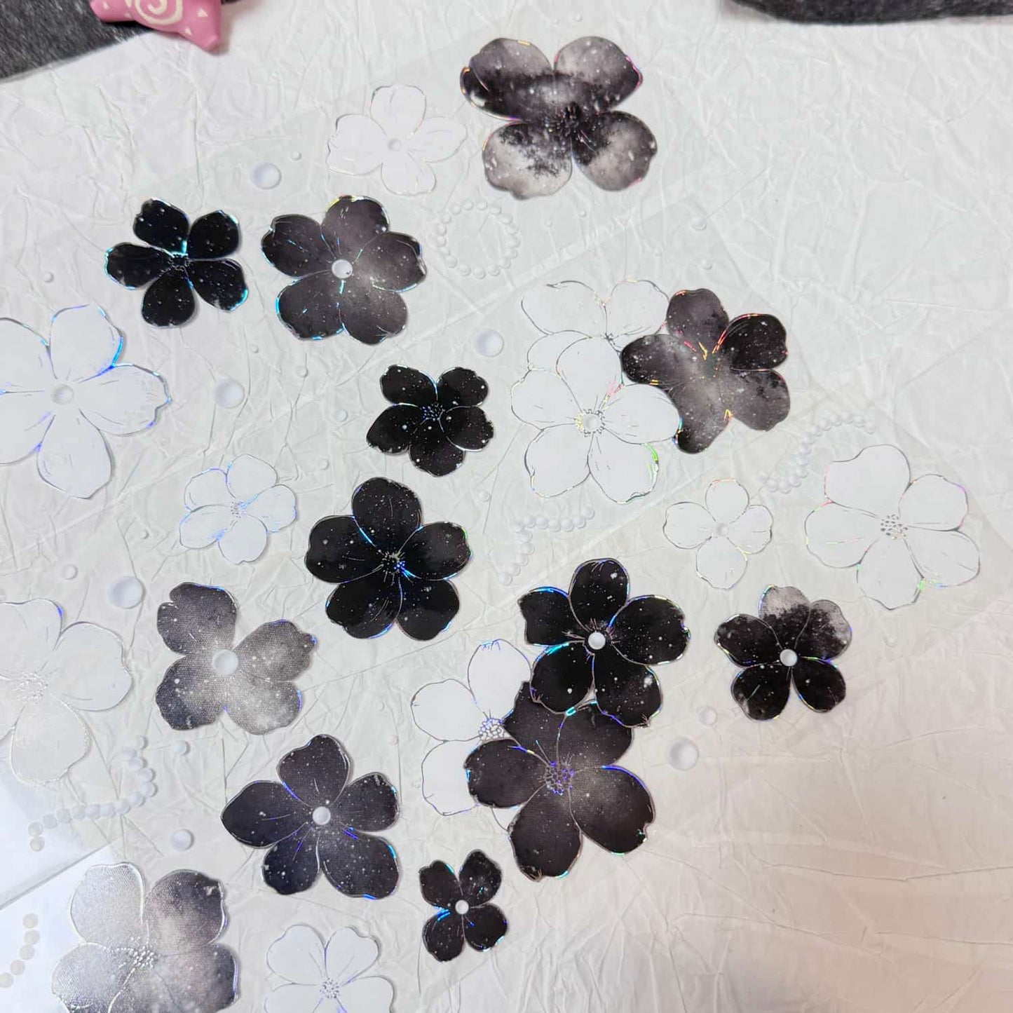 QYマステ11月新作floral galaxy  貝殻銀