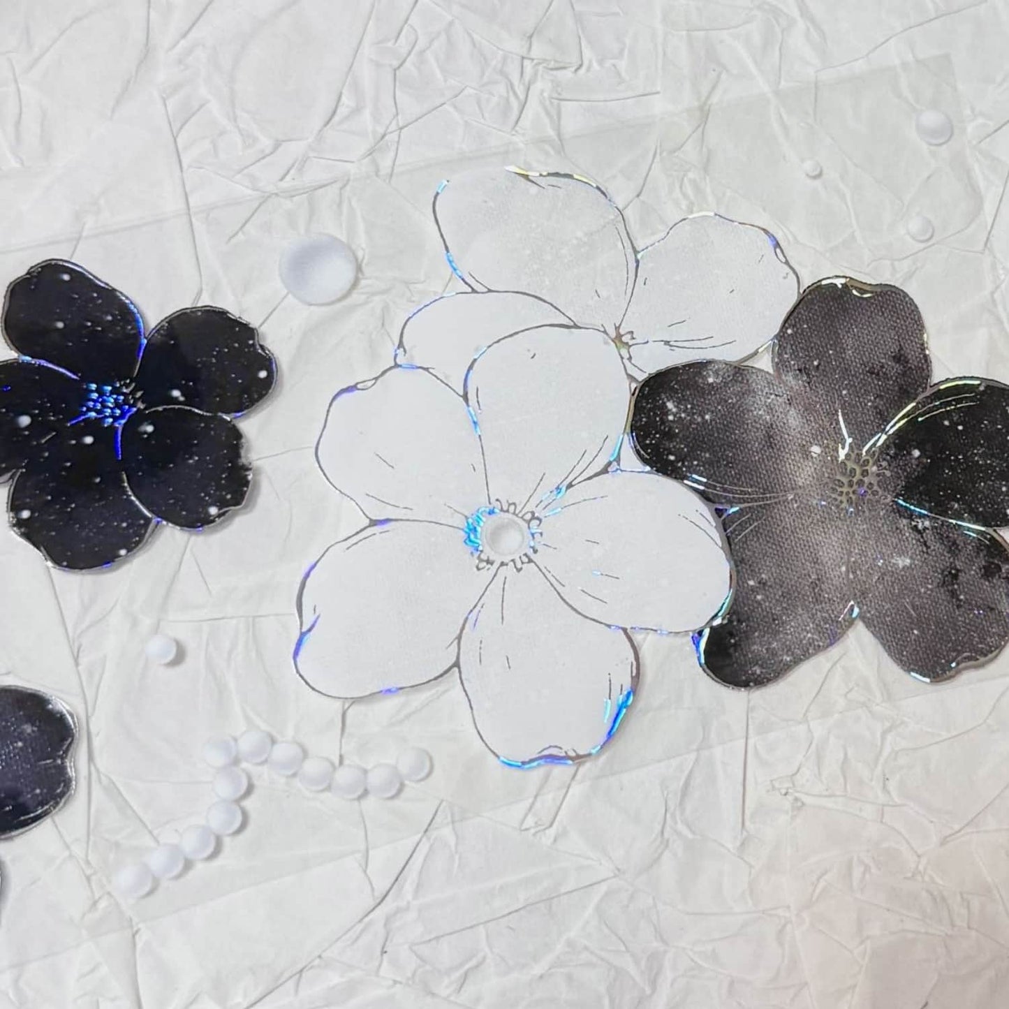 QYマステ11月新作floral galaxy  貝殻銀