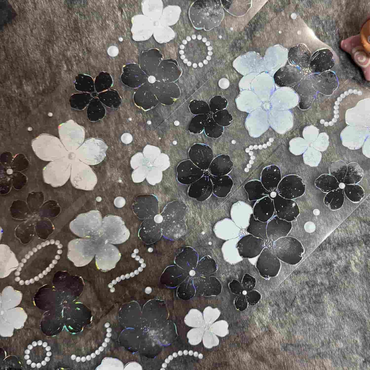 QYマステ11月新作floral galaxy  貝殻銀