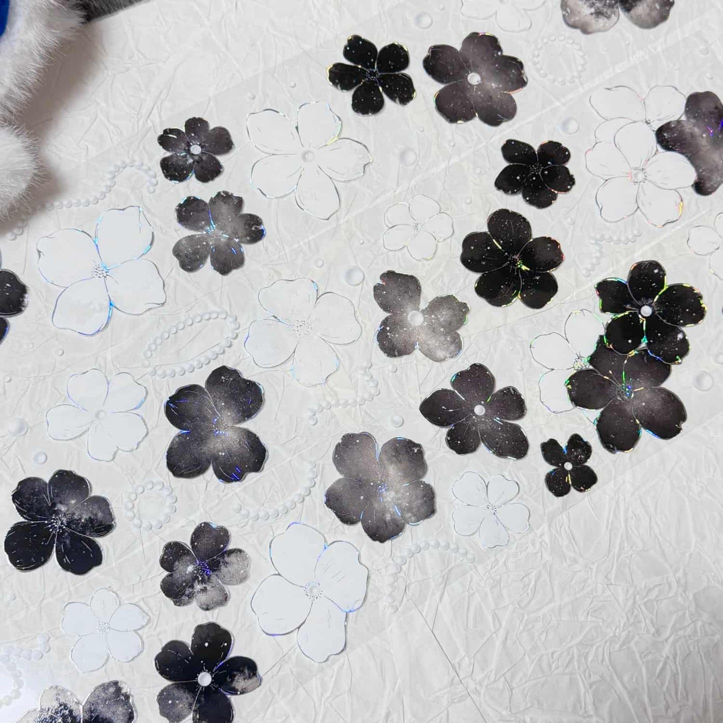 QYマステ11月新作floral galaxy  貝殻銀