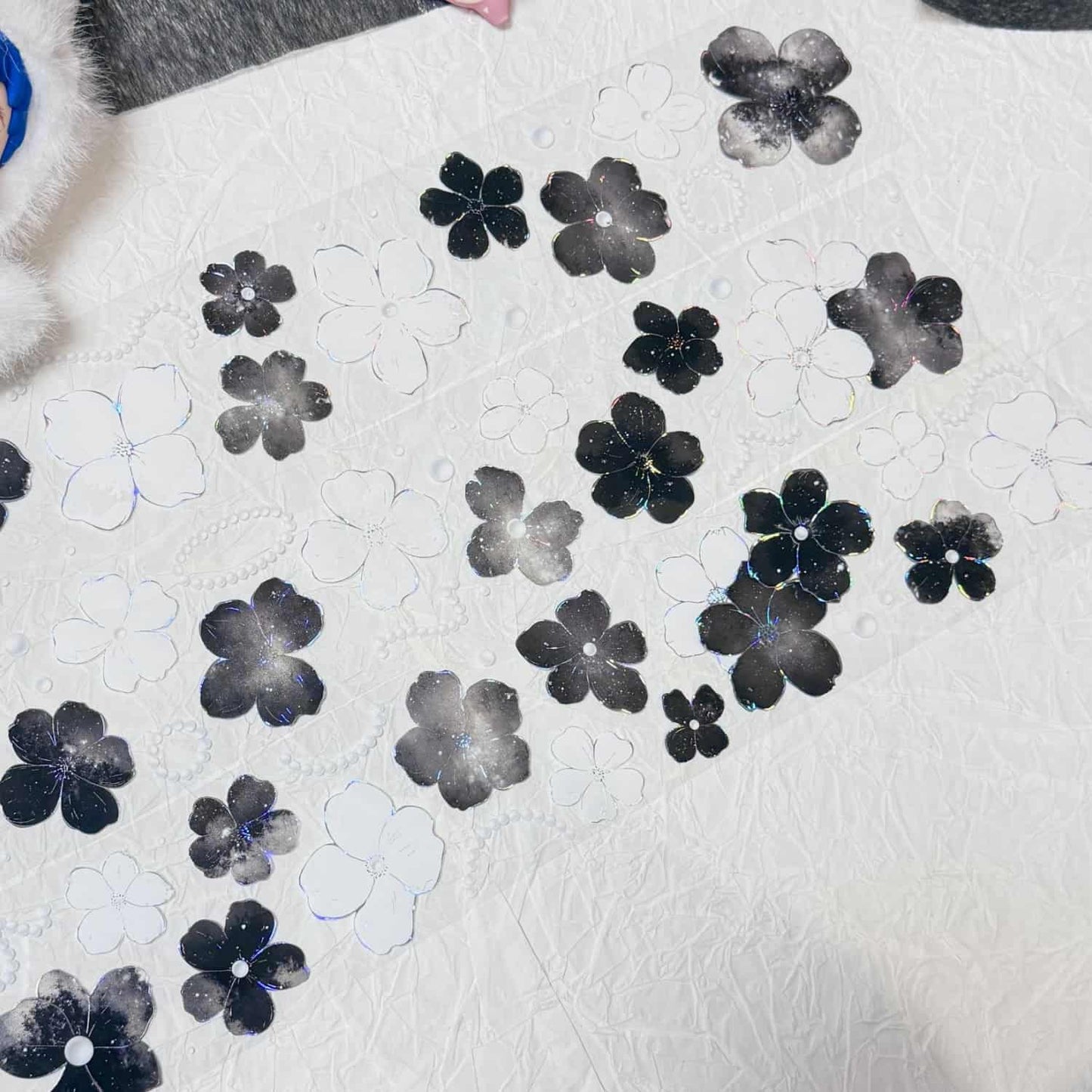 QYマステ11月新作floral galaxy  貝殻銀