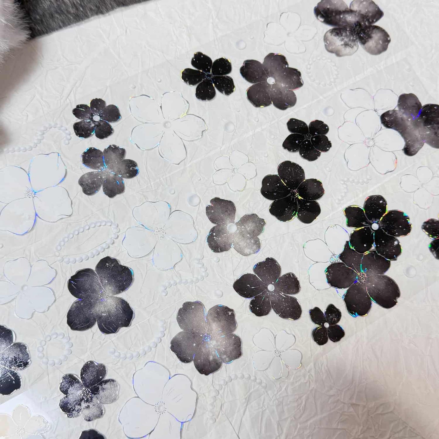 QYマステ11月新作floral galaxy  貝殻銀