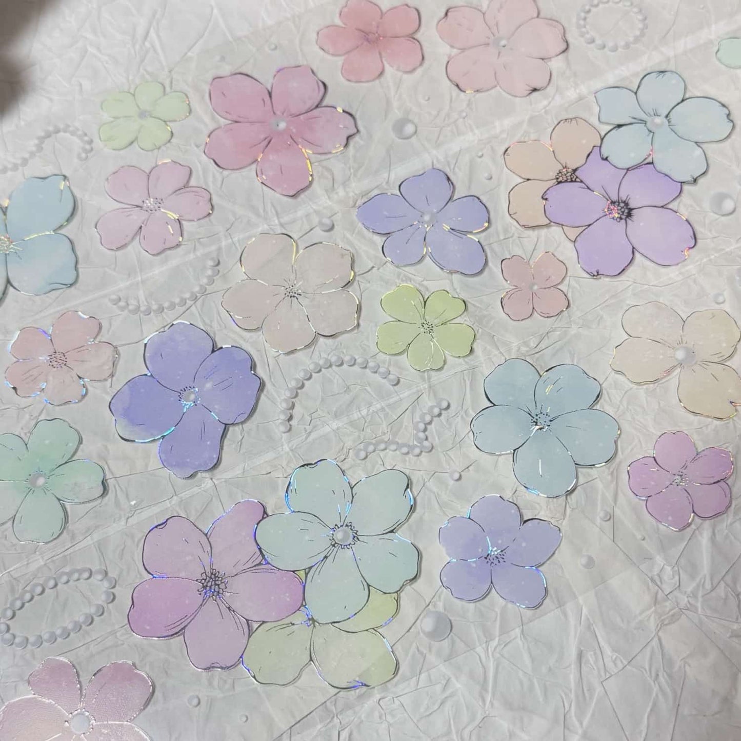 QYマステ11月新作floral rainbow  貝殻銀
