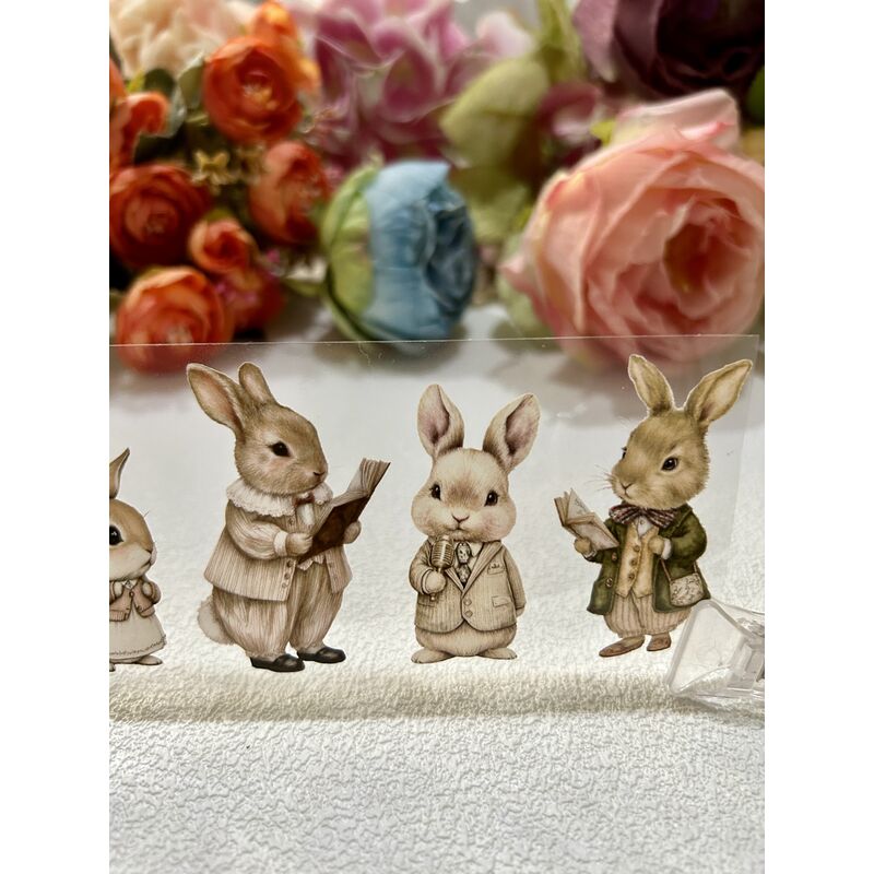QYマステ8月新作☆many rabbits PET