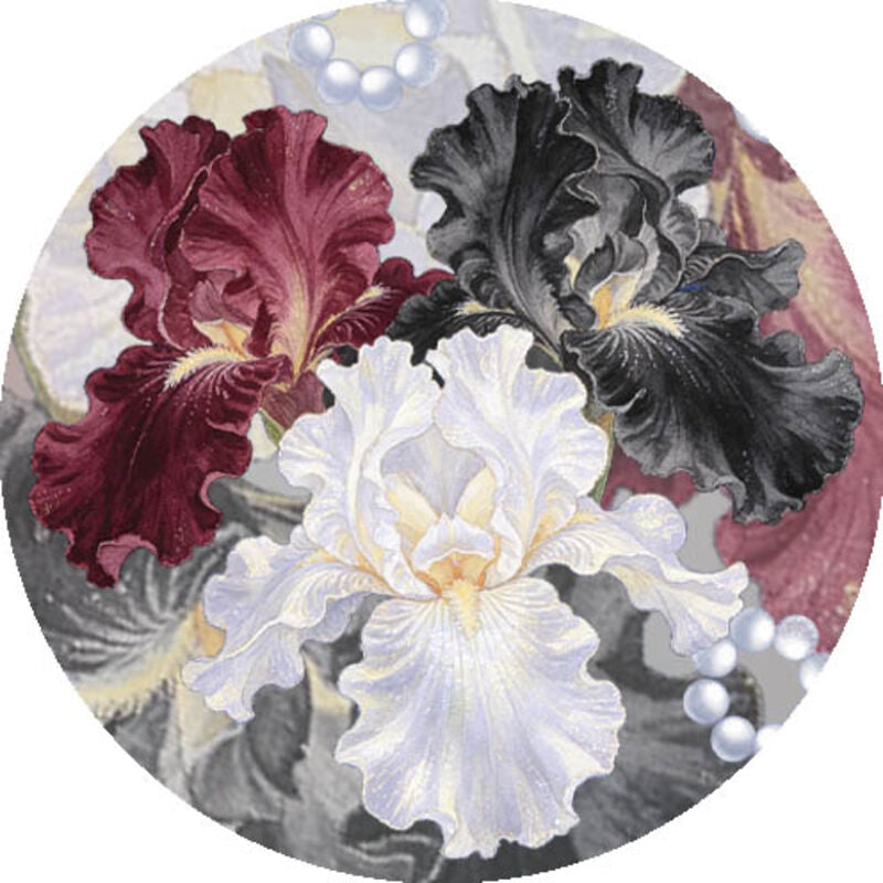 QYマステ10月新作アイリス 6cm×5M 貝殻光