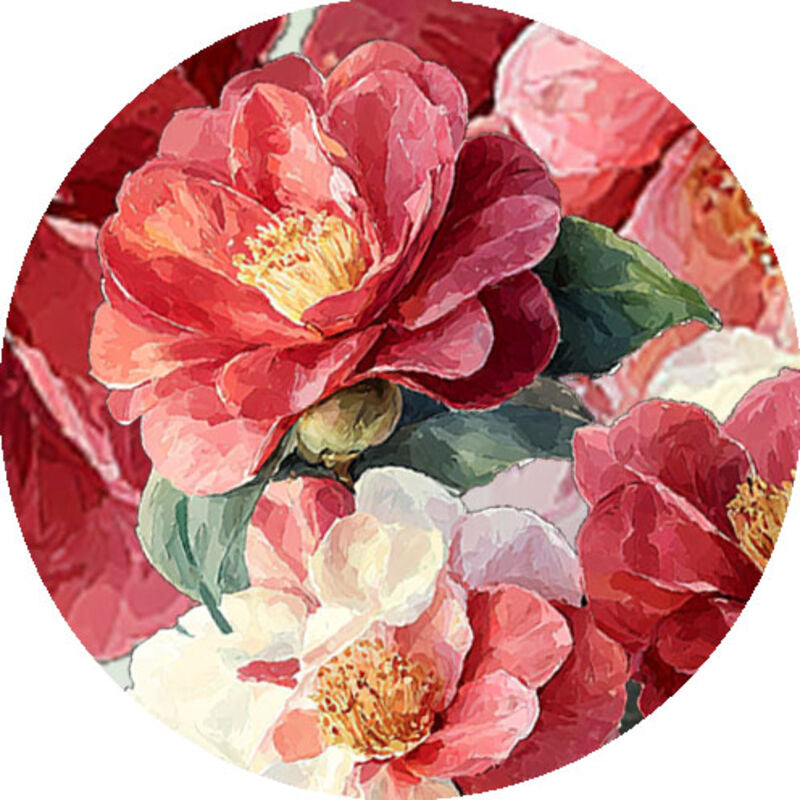 QYマステ 貝殻光など – QY.DesignStudio