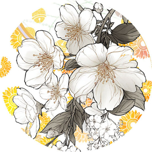 QYマステ6月新作 薄花暈  6cm×5M 貝殻光