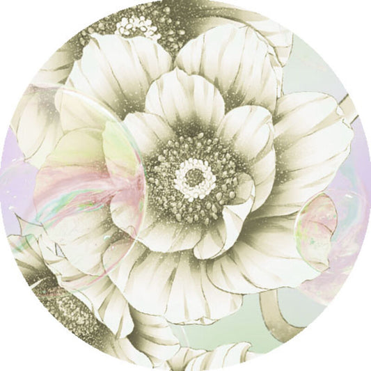 QYマステ6月新作 Anemone Bubbles  6cm×5M 貝殻光
