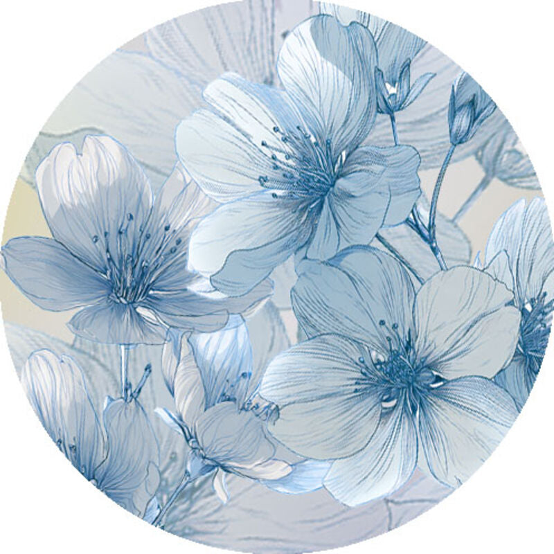 QYマステ8月新作Aqua Petals 6cm×5M 貝殻光