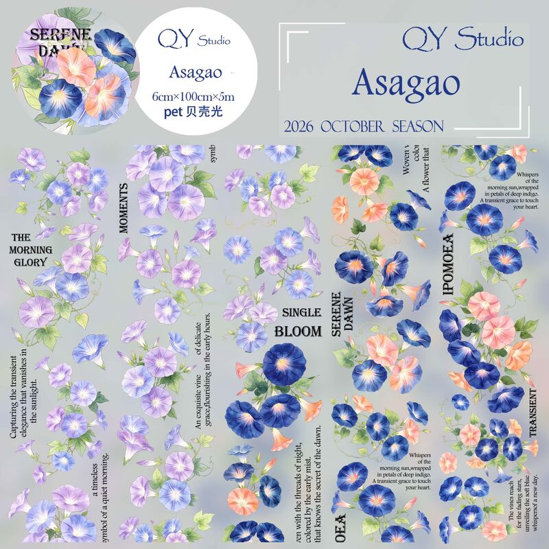 QYマステ10月新作Asagao 6cm×5M 貝殻光
