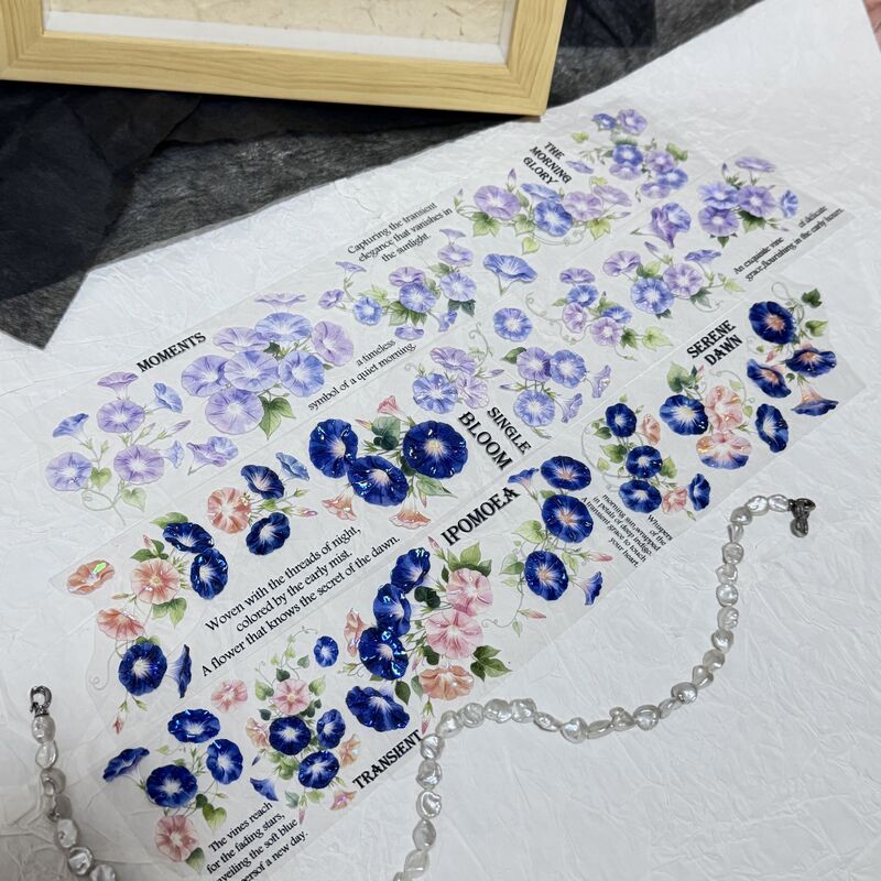 QYマステ10月新作Asagao 6cm×5M 貝殻光