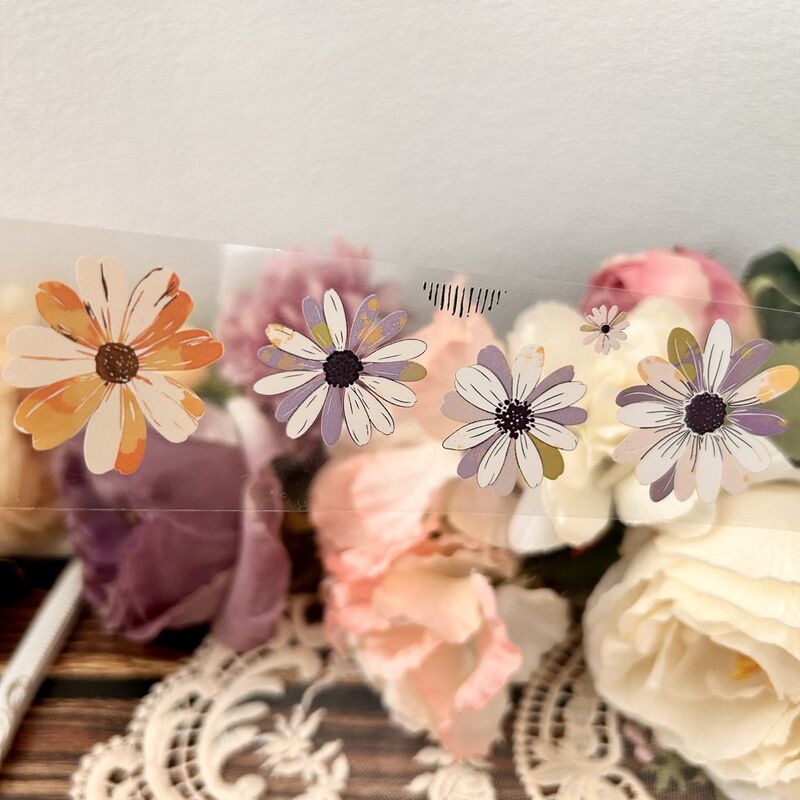 QYマステ12月新作Bellis Daisy PET