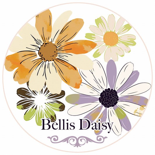 QYマステ12月新作Bellis Daisy PET