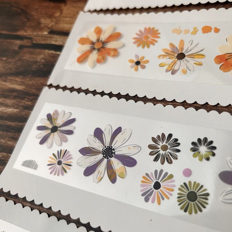 QYマステ12月新作Bellis Daisy PET