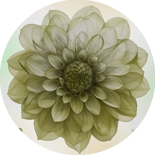 QYマステ2月新作Dahlia Classic 6cm×5M 貝殻光