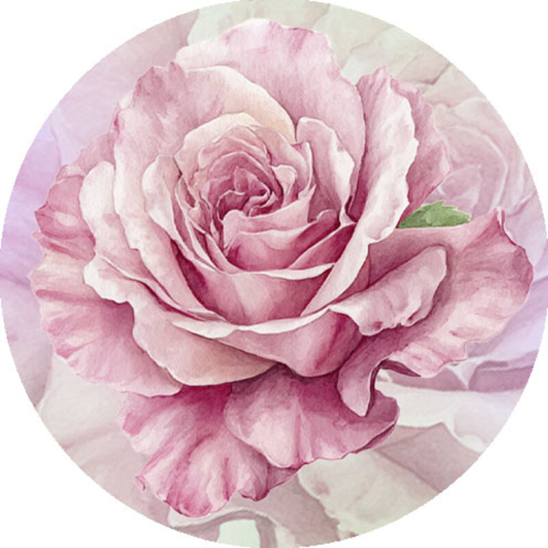 QYマステ6月新作 Dusky Rose  6cm×5M 貝殻光
