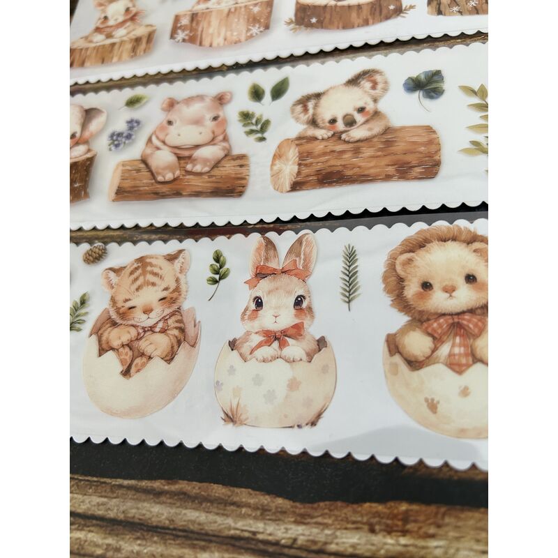 QYマステ6月新作◆Forest melody PET