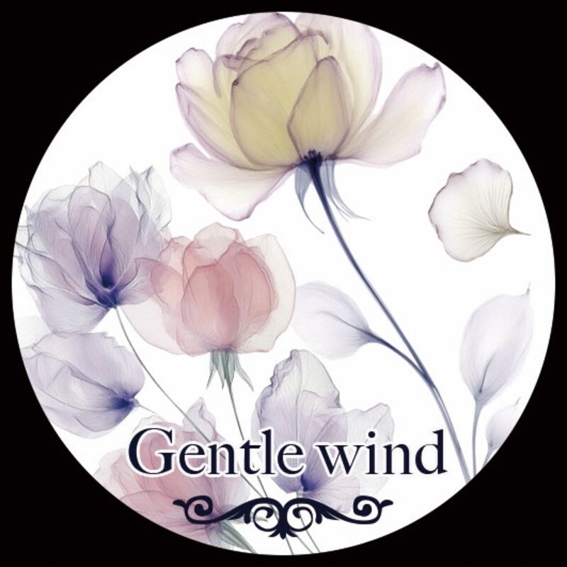 QYマステ7月新作♡Gentle wind PET