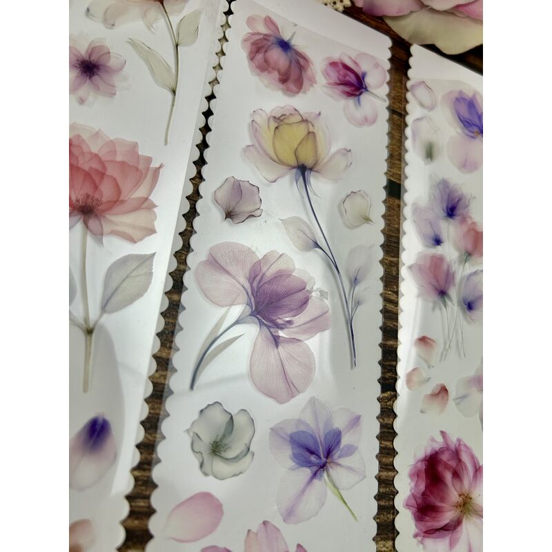 QYマステ7月新作♡Gentle wind PET